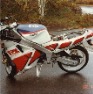 FZR1
